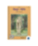 "Vidhur Neeti by Paramahans Swami book cover on Bookdio.org"