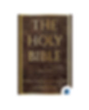 The Holy Bible by Collection of Authors book cover on Bookdio.org