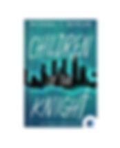 Children of the Knight by Michael J. Bowler book cover on Bookdio.org