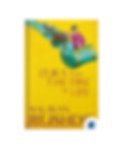 Luka and the Fire of Life by Salman Rushdie book cover on Bookdio.org