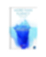 More Than Fluency by Barbara J Amster & Evelyn R Klein book cover on Bookdio.org