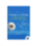 Caring for the Dying: The Doula Approach to a Meaningful Death by Henry Fersko-Weiss book cover on Bookdio.org