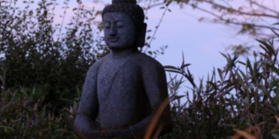 the buddha statue