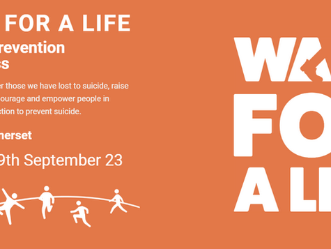 Health & Wellness Somerset campaigns