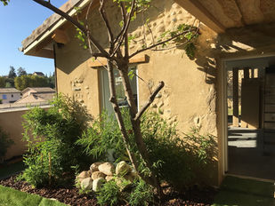 Vue façade extérieure