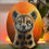 Miniature : Collection "Mandarine"