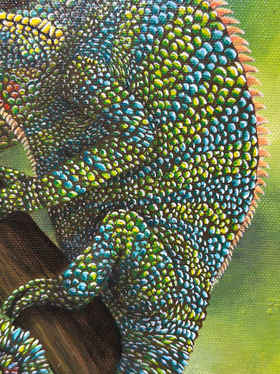 Miniature : Colorum 24 x 30 cm
