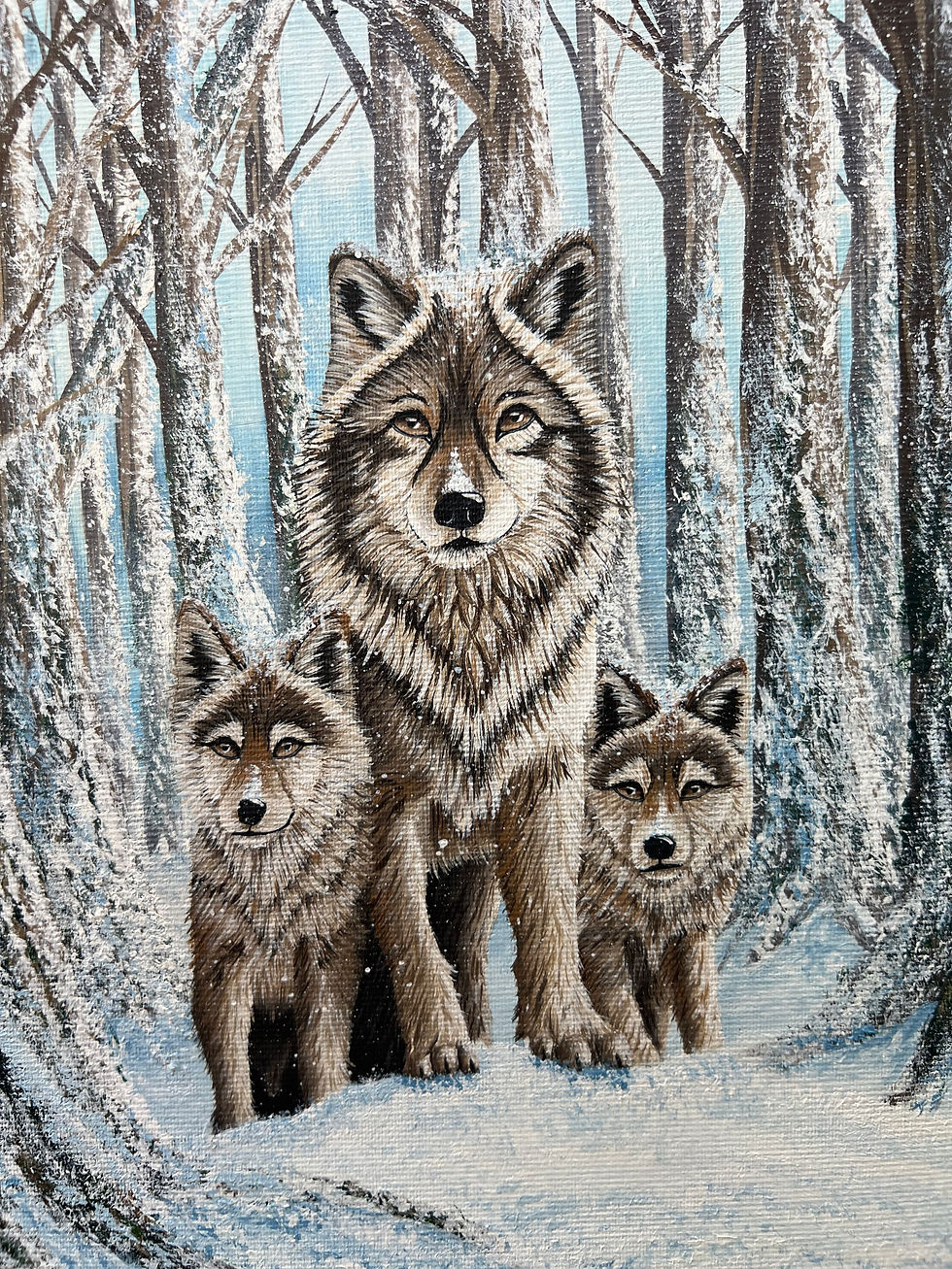 Miniature : Neigetta 33 x 55 cm
