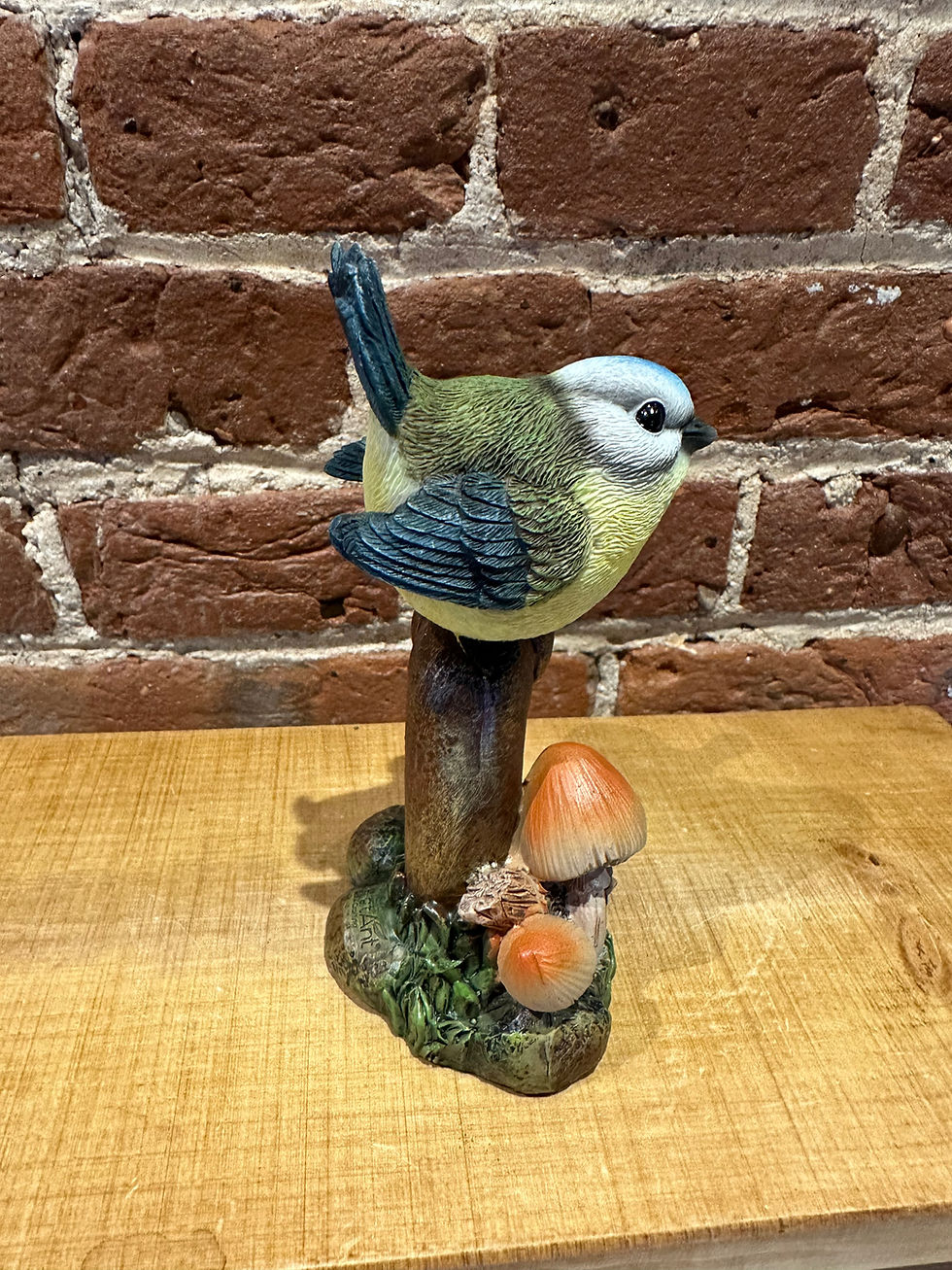 Thumbnail: Blue Tit on Garden Tap
