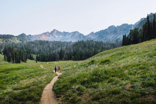 fieldandforest-visitbigsky-beehivebasin_WEB.jpeg