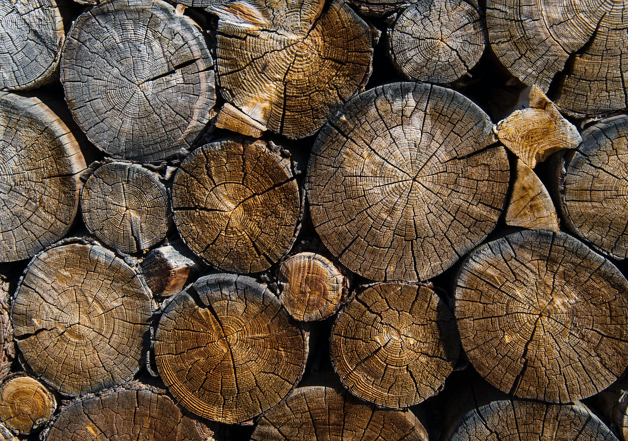 par-parsson-yuMpfx-C0A8-unsplash_edited.jpg