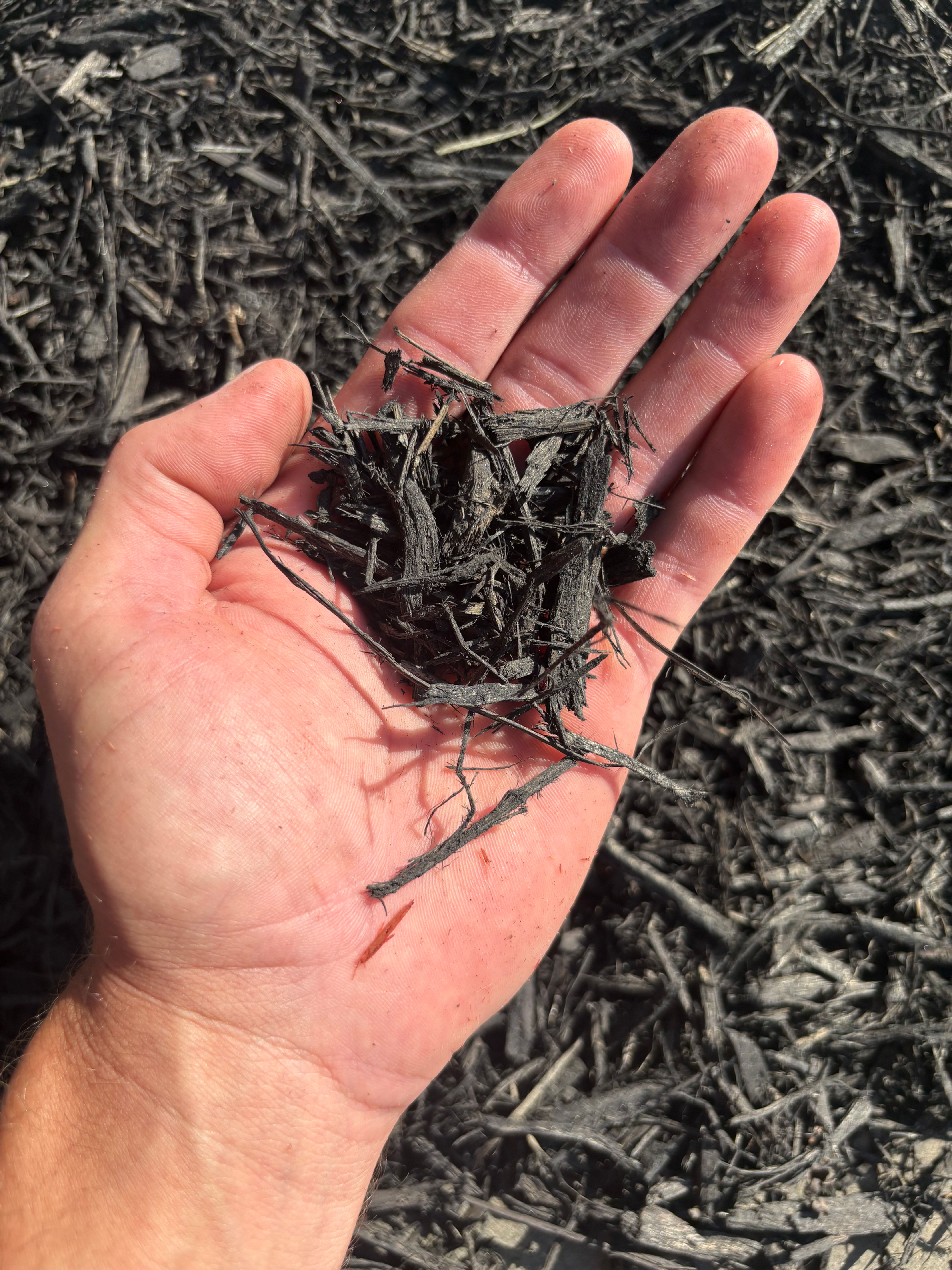 Black Mulch