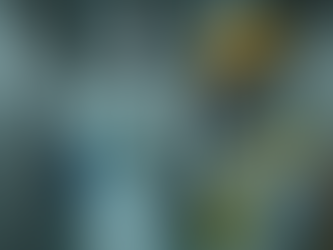 Top Lead Abatement Services in Cleveland, Ohio