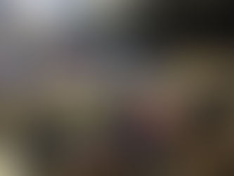 2017 Democratic State Convention