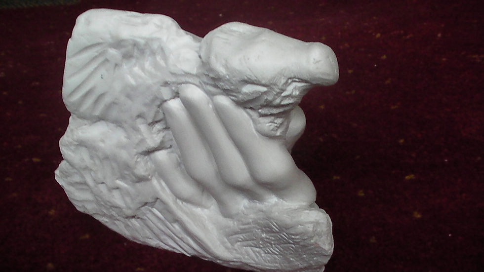 SANY0219weisserFalke