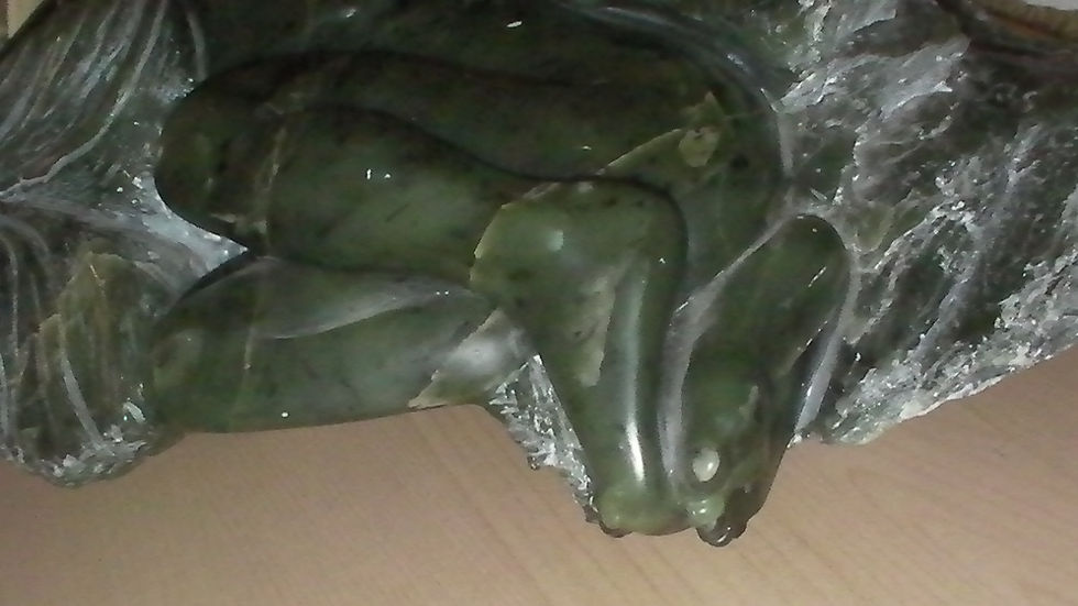 SANY0200