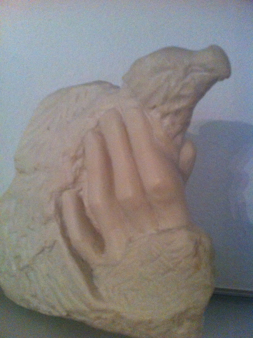 weisser Falke in Frauenhand