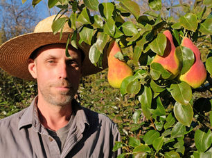 Bearing Fruit 