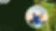 Website_Tim_Hero.png