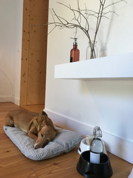 pet-friendly-hotel-unique-stays-caes-admitidos