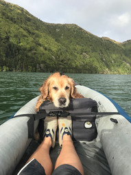 Azores with dogs Sete Cidades