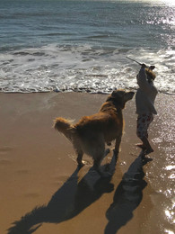 pet-friendly-hotel-unique-stays-caes-admitidos-dog-playing-kid