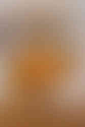 Quinta dos Raposeiros fresh oranges for breakfast hotel management TH2