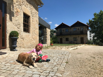 pet-friendly-hotel-unique-stays-caes-admitidos