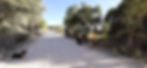 Mundo-Alao-13-Dog-Training-Woods.jpeg
