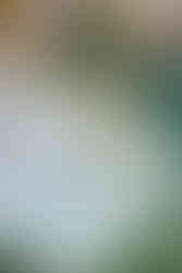 Canadiano hotel reflection breakfast by Rita Quintela for TH2 and Unique Stays