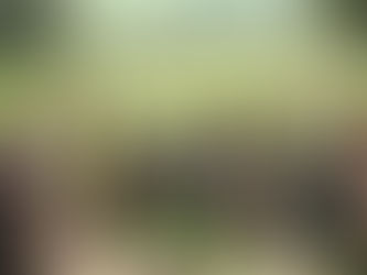 פרשת לך לך - כשוויכוח הופך למריבה