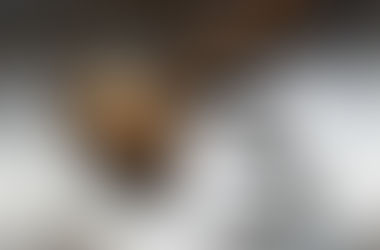 Understanding the Bail Bond Process in Fort Lauderdale — A Guide for Families Under Stress