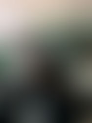 Agricultura no Deserto