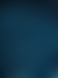 Ciência de Dados e Internet: o poder da informação.