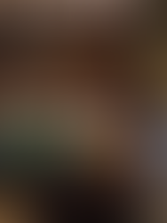 Petiana participa da organização do II SINCCA