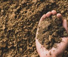 Precisamos falar sobre o solo