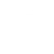 Seattle Space Needle Icon