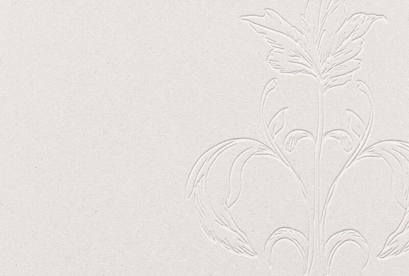 background_jessi_vaughn_photography_maryland_wedding_photographer.jpg