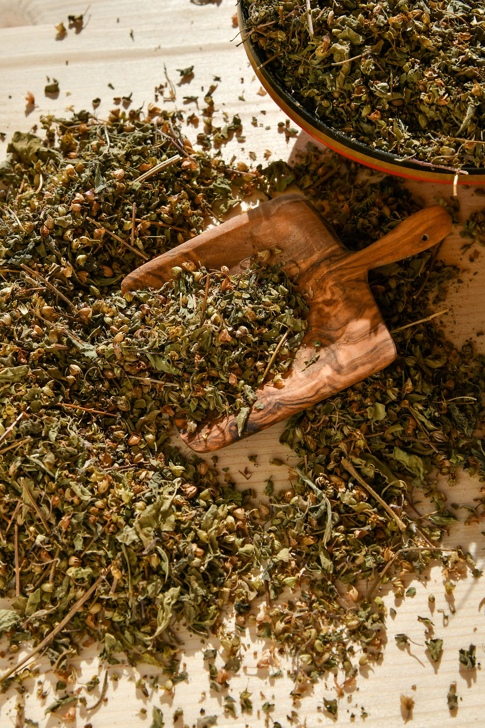 Tulsi - Baisilic Sacré