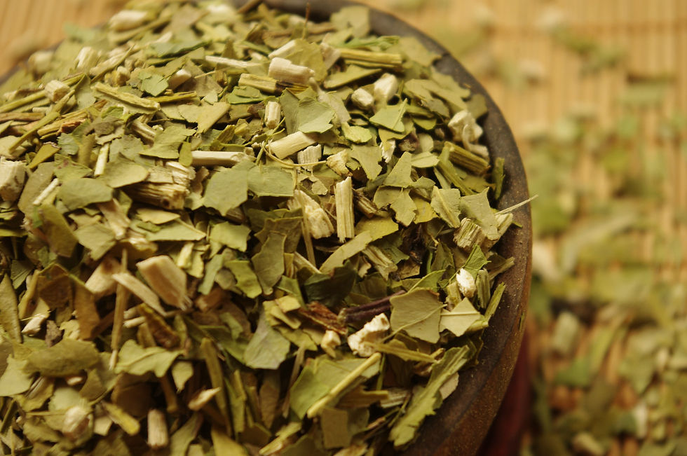 Yerba Maté
