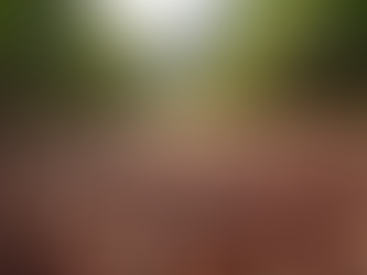 Why Ethical Sourcing Practices Matter Today