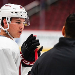 Drafted: Phoenix Coyotes
