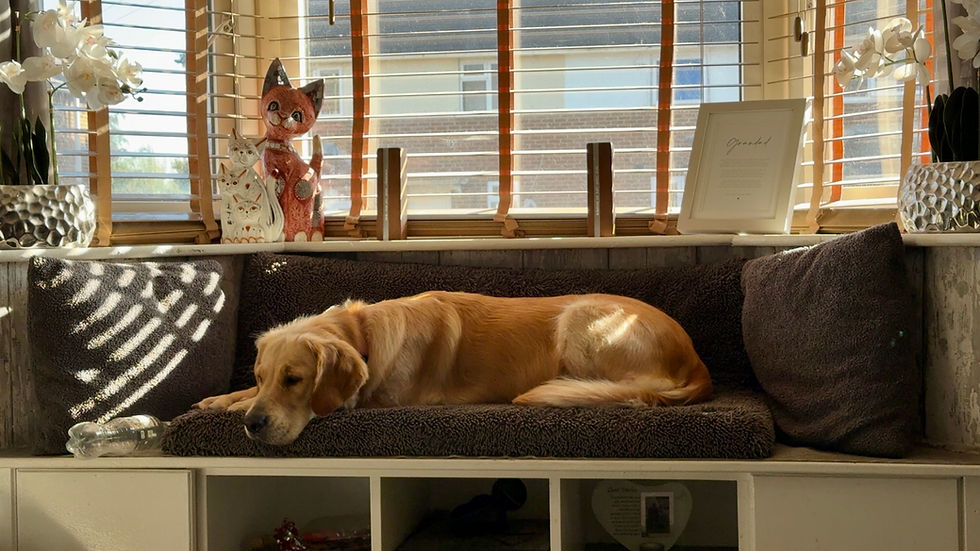 Unhealthy Sleeping Patterns