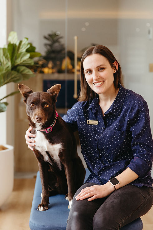 animal eye services 2025-22.jpg