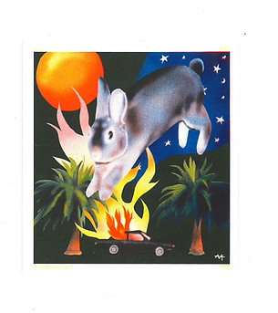 FEU_RABBIT_BLANC.jpg
