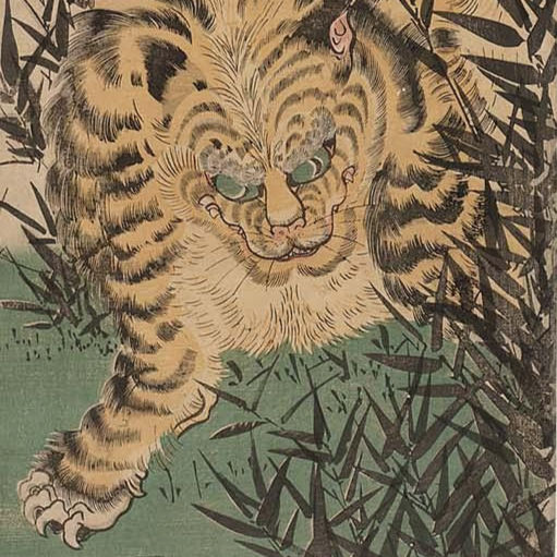 Japanese Tiger