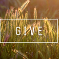 Give.png