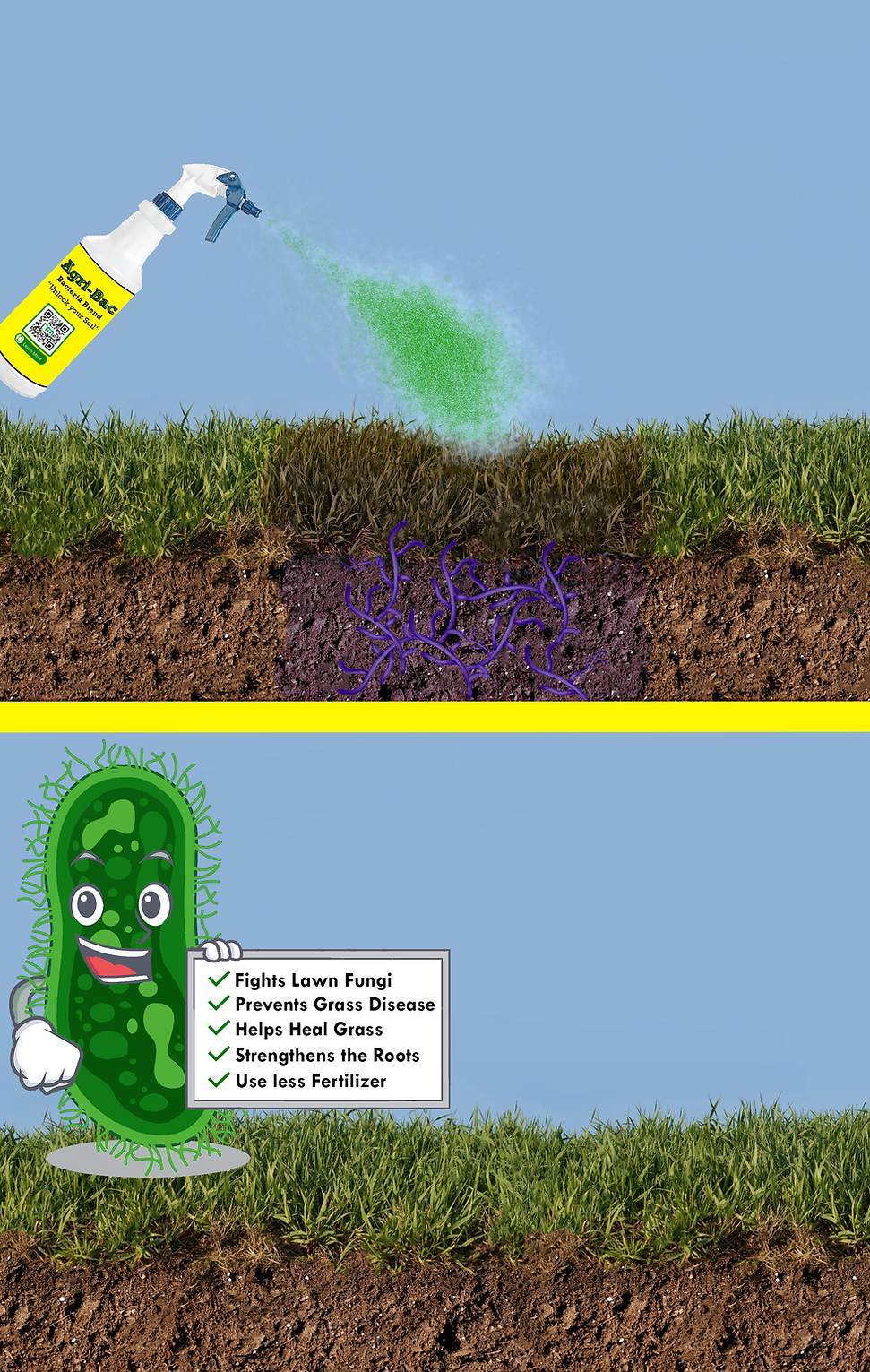 grass top bottom.png