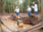 thumbnail (4)