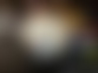 #2 Zwischen Pitchdeck und Realität